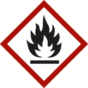 Simbolo delle sostanze pericolose Fiamma