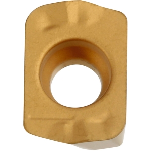 LPGT 010210 ER-GM