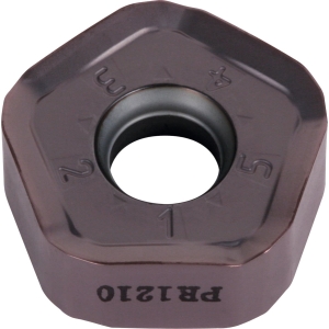 PNMU 1205 ANER-GH