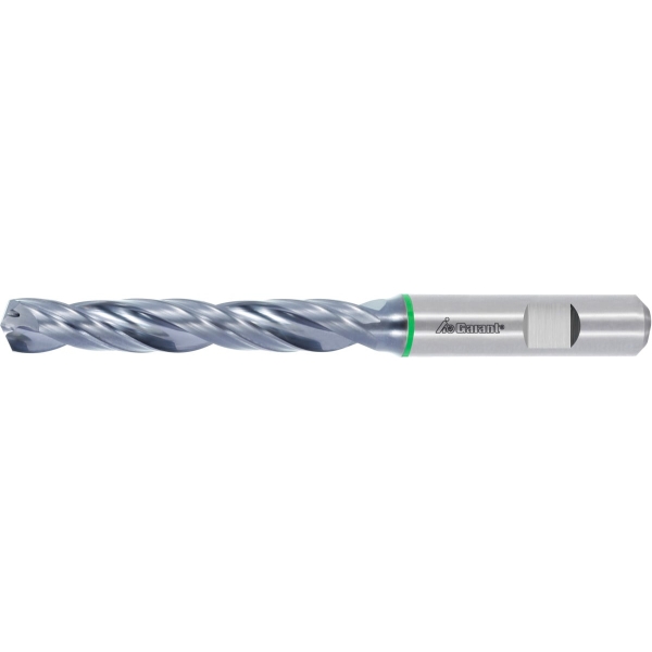 Punta in HMI GARANT Master Steel SPEED