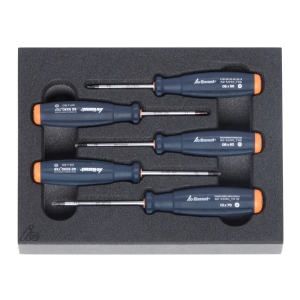 Set di giraviti per viti Torx