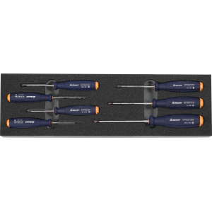 Set di giraviti per viti Torx