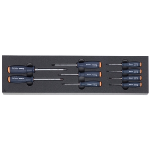 Set di giraviti per viti Torx