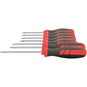 Set di giraviti per viti Torx
