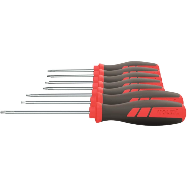 Set di giraviti per viti Torx