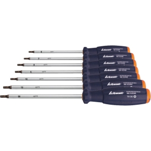 Set di giraviti per viti Torx