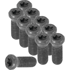 Set di viti con impronta Torx 10 pezzi
