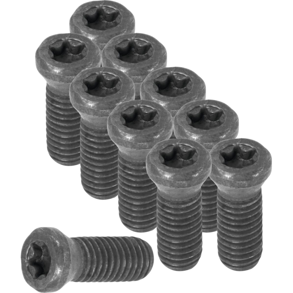 Set di viti con impronta Torx 10 pezzi