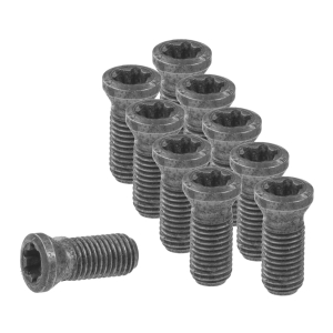 Set di viti per inserti 10 pezzi