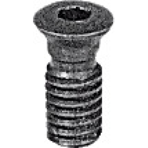 Set di viti di serraggio con impronta Torx Plus 10 pezzi