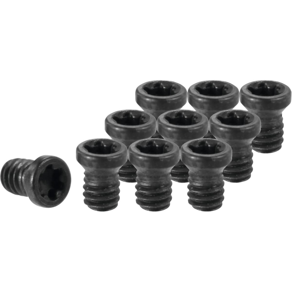 Set di viti di serraggio con impronta Torx Plus 10 pezzi