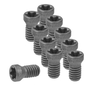 Set di viti per inserti 10 pezzi