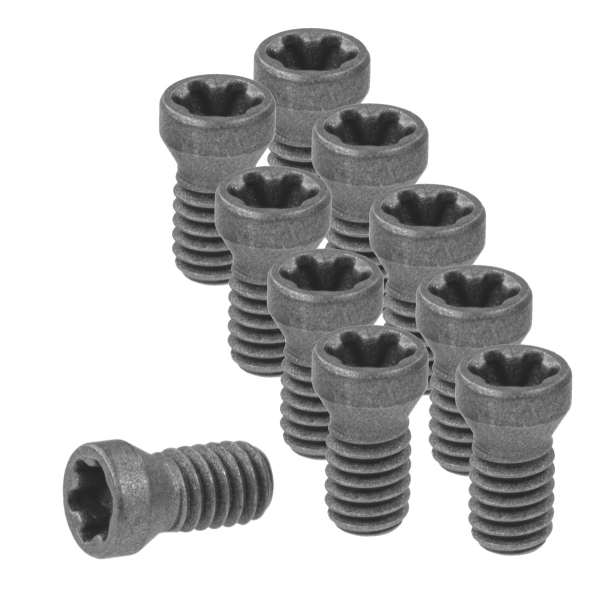 Set di viti per inserti 10 pezzi