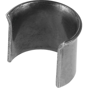 Spina elastica