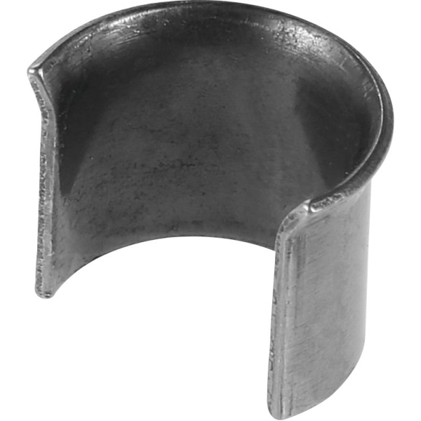 Spina elastica