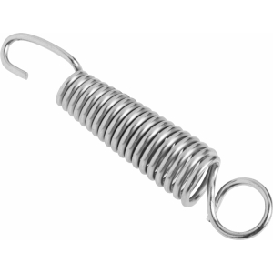Spina elastica