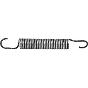 Spina elastica