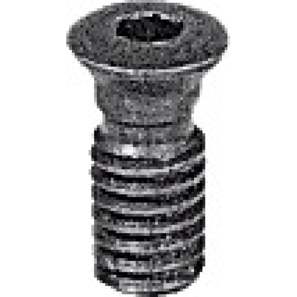 Vite di serraggio Torx Plus