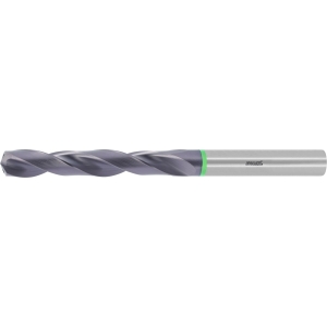 Punta in HMI HOLEX Pro Steel