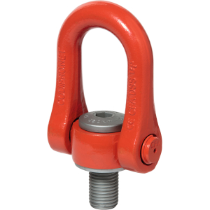 Golfaro con anello DSS
