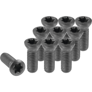 SWISSTOOLS - Vite con impronta Torx n. 2, Modello: S01